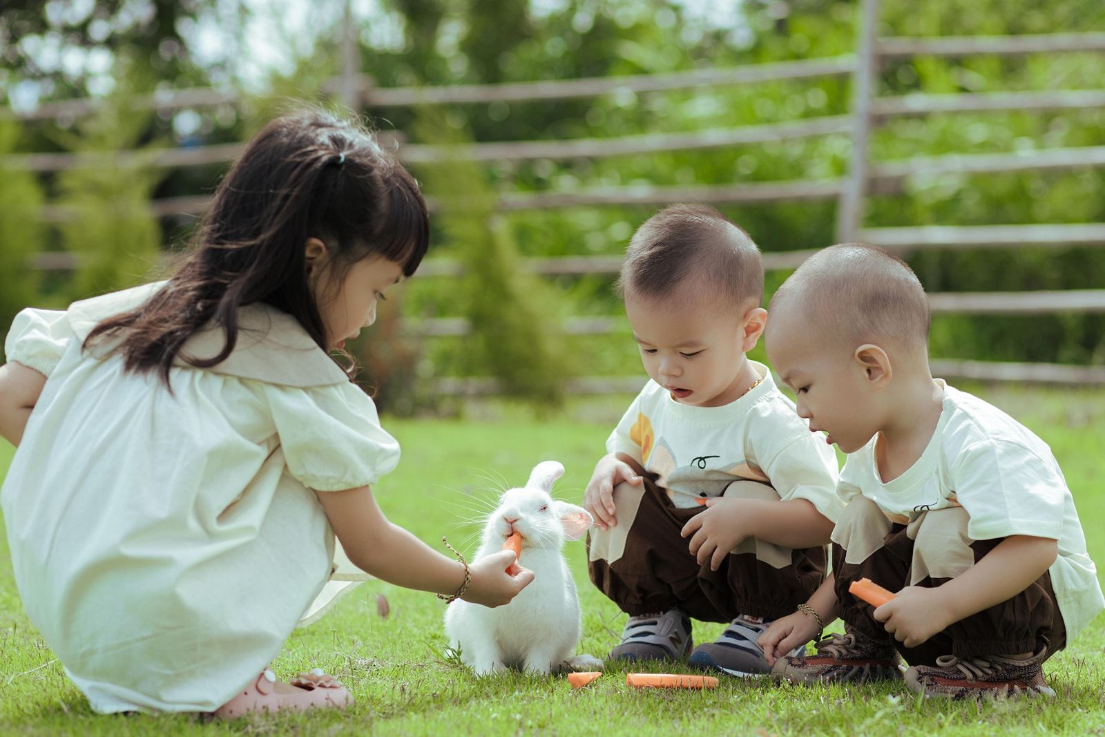 うさぎに人参をあげる子どもたち(イメージ写真)